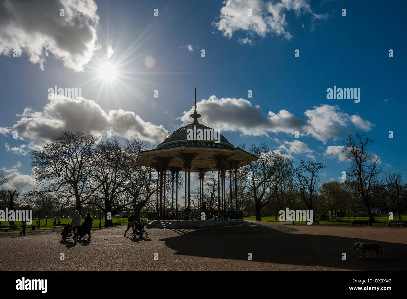London, UK. 21. März 2014. Die Frühlings-Tagundnachtgleiche bringt blühenden Narzissen, grüne Triebe und blauen Himmel in Clapham Common, London, UK 21. März 2014. Bildnachweis: Guy Bell/Alamy Live-Nachrichten Stockfoto