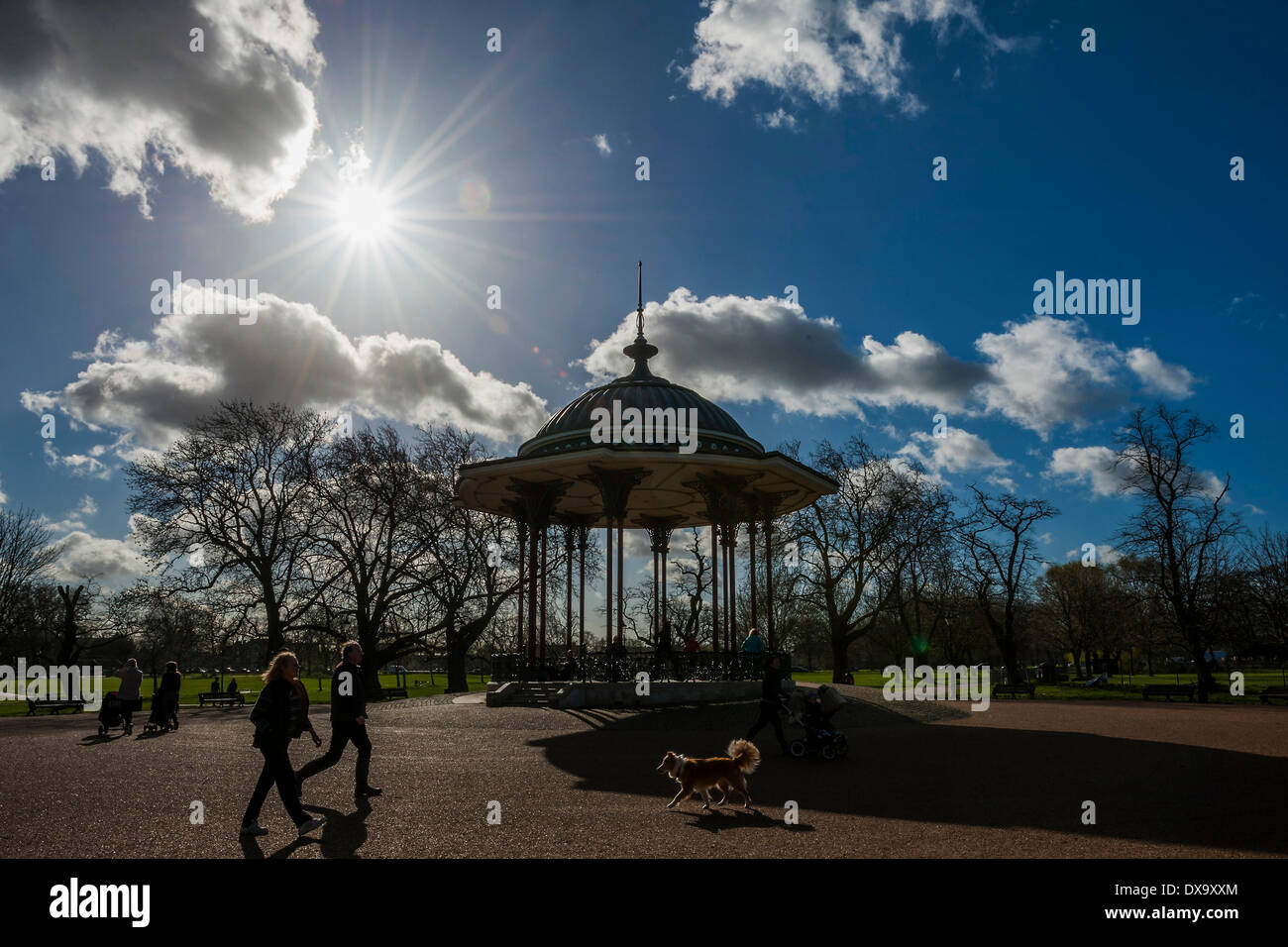 London, UK. 21. März 2014. Die Frühlings-Tagundnachtgleiche bringt blühenden Narzissen, grüne Triebe und blauen Himmel in Clapham Common, London, UK 21. März 2014. Bildnachweis: Guy Bell/Alamy Live-Nachrichten Stockfoto