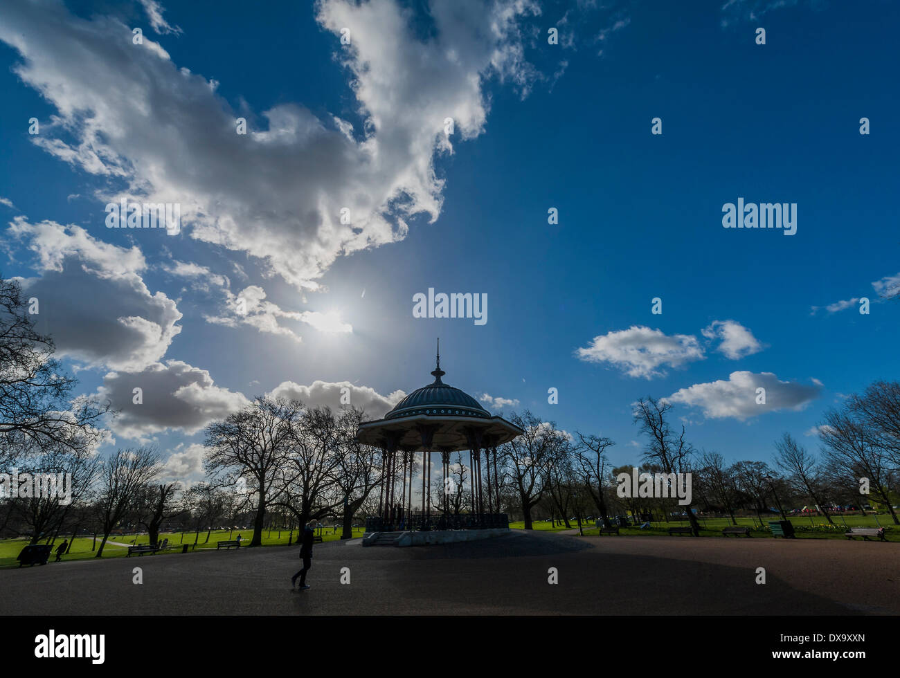 London, UK. 21. März 2014. Die Frühlings-Tagundnachtgleiche bringt blühenden Narzissen, grüne Triebe und blauen Himmel in Clapham Common, London, UK 21. März 2014. Bildnachweis: Guy Bell/Alamy Live-Nachrichten Stockfoto