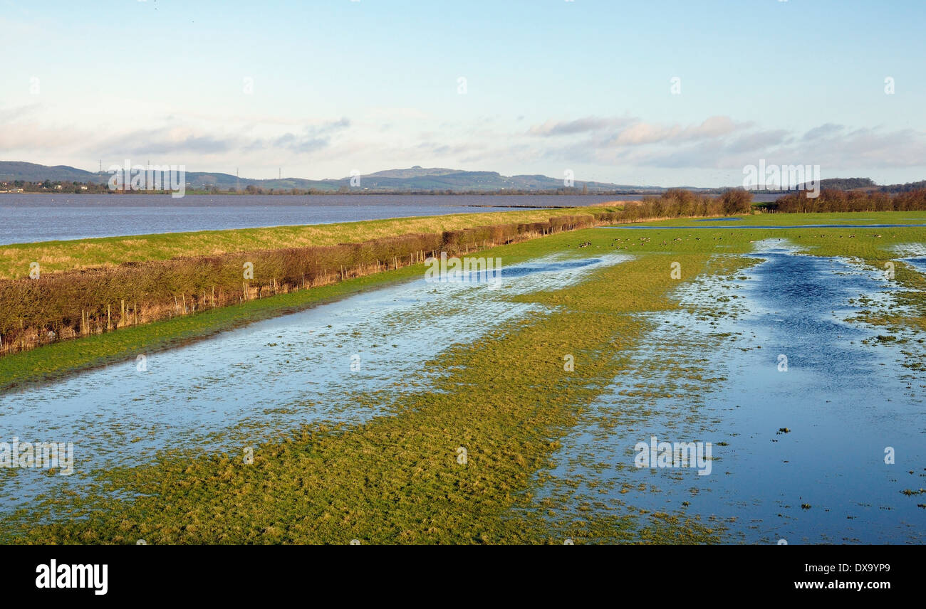 Springflut und überschwemmten Feldern an Slimbridge Stockfoto