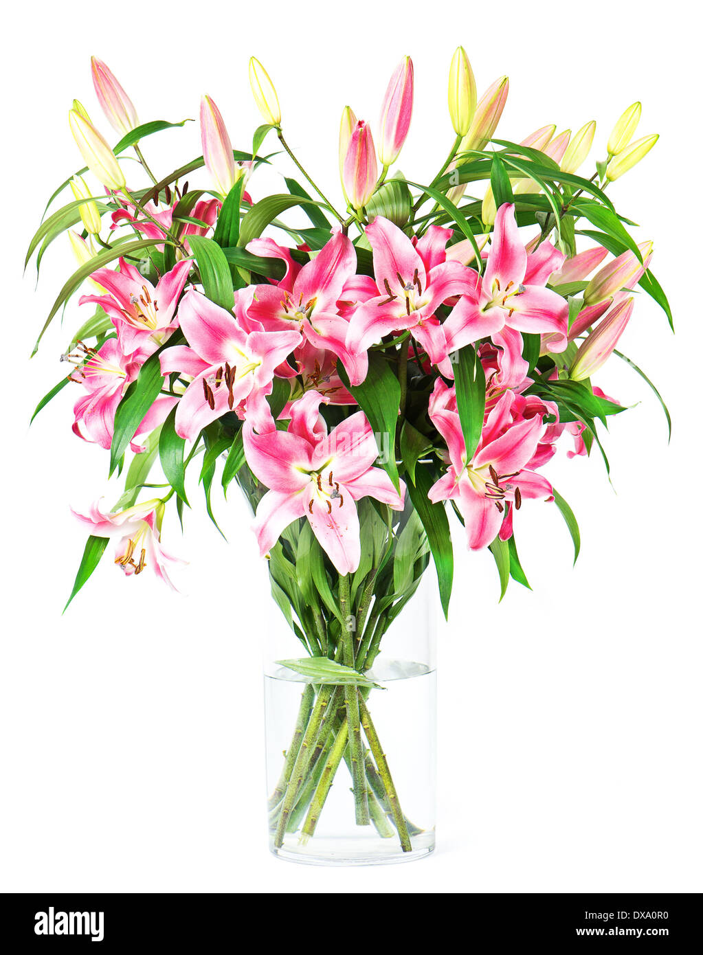 Blumenstrauß Lilie Stockfoto