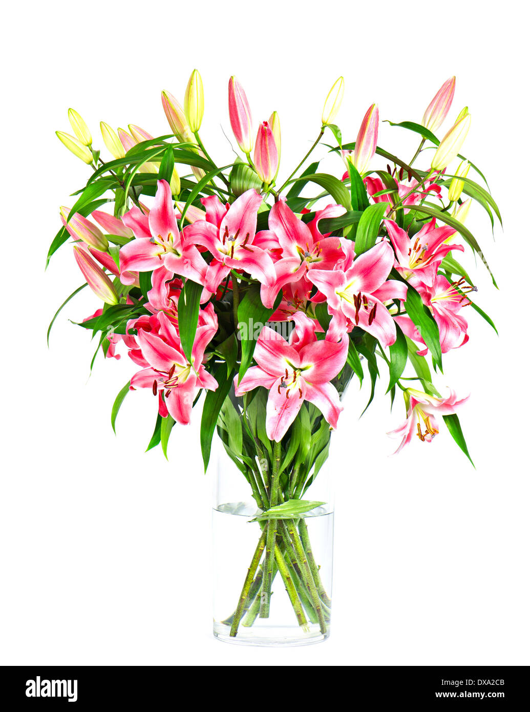 Blumenstrauß Lilie Stockfoto
