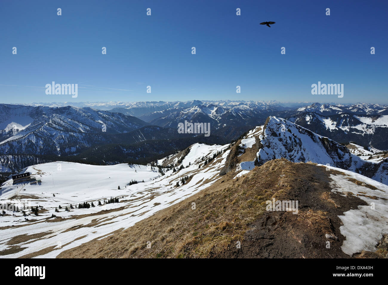 Alpine Alpenkrähe auf dem Gipfel der Rotwand und Blick über die bayerische Alpenregion im Winter, Bayern, Deutschland Stockfoto