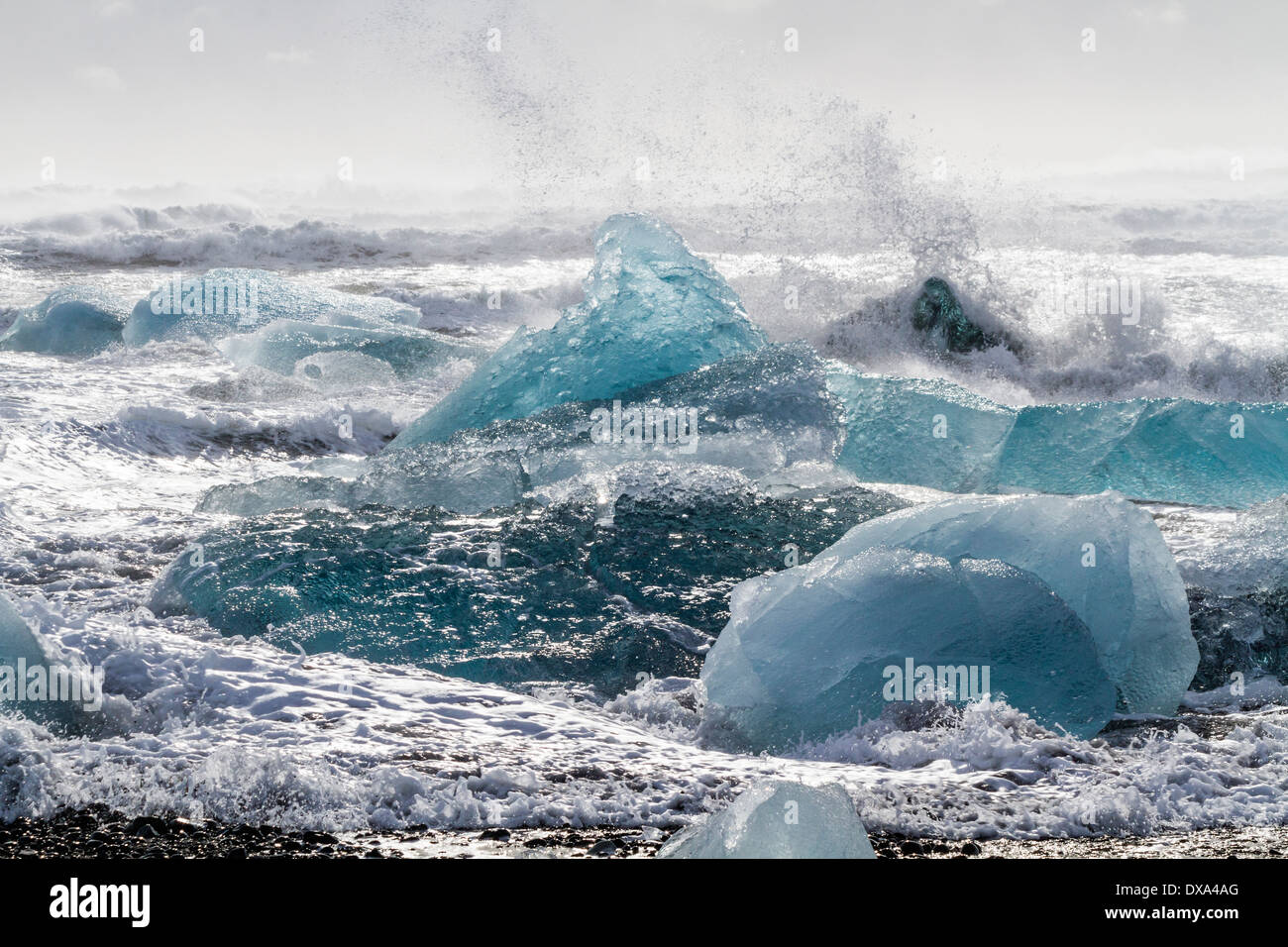 Große blaue Semi-Trasnparent Eisberge in der Absturz Surfen am schwarzen Sandstrand am Jökulsárlón im Süden Islands. Stockfoto