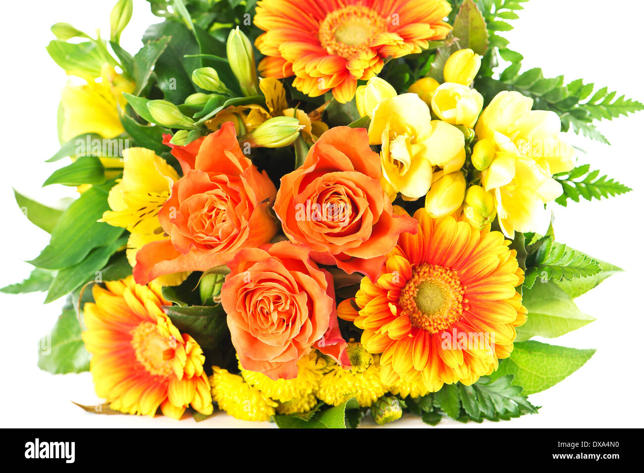 bunte Blumen Blumenstrauß. Gerbera und Rosen Stockfoto