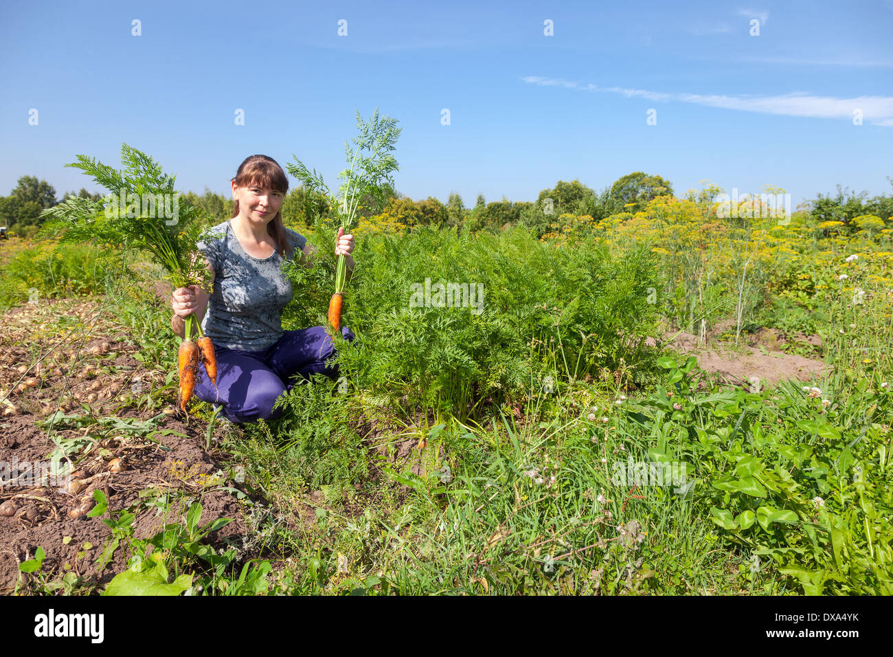 Junge Frau, die eine Garbe von Karotten in der Hand halten Stockfoto