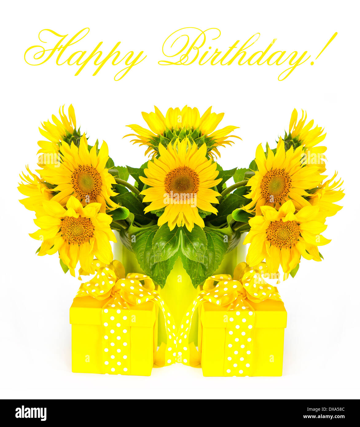 Schöne Sonnenblumen mit Geschenk-box Stockfoto