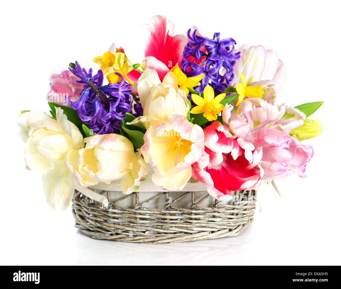 Tulpen, Narzissen und Hyazinthen. bunte Frühlingsblumen Stockfoto