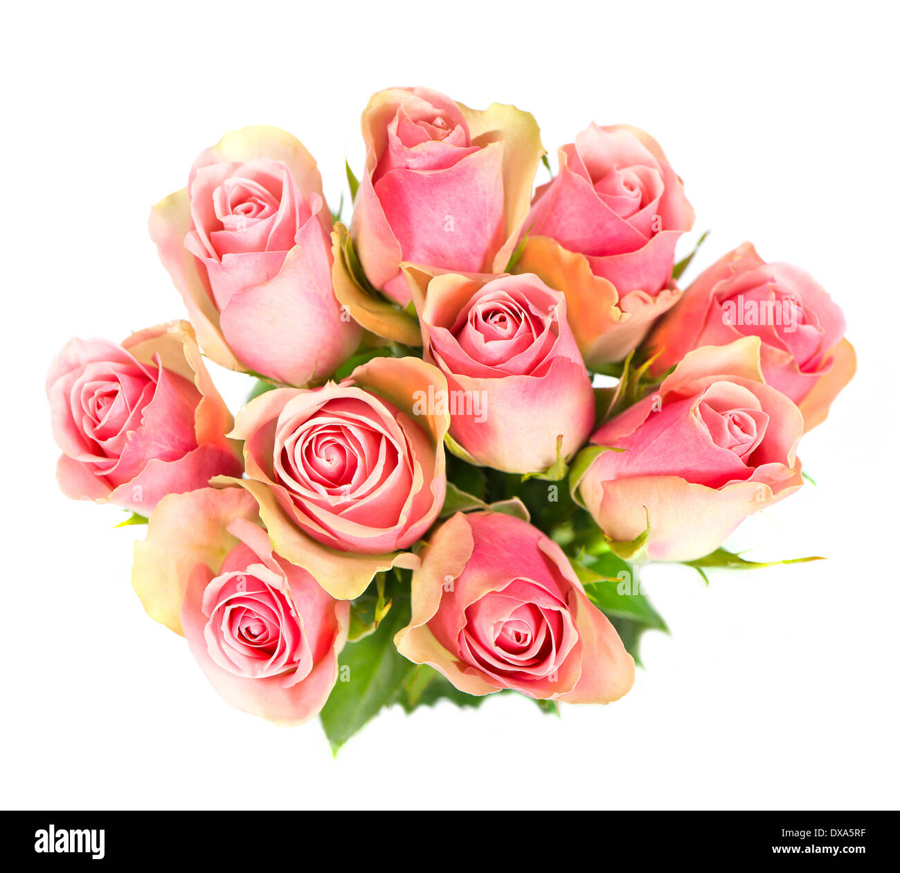 Rosen-Blumen Blumenstrauß isoliert Stockfoto