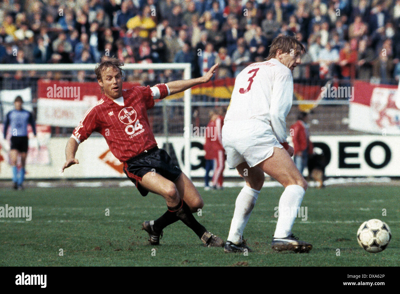 Fußball, Bundesliga, 1983/1984, Ulrich Haberland Stadion, Bayer 04 Leverkusen vs. Fortuna Düsseldorf 2:0, Szene des Spiels, Duell der Teamleiter Juergen Roeber (Bayer) links und Gerd Zewe (Fortuna) Stockfoto