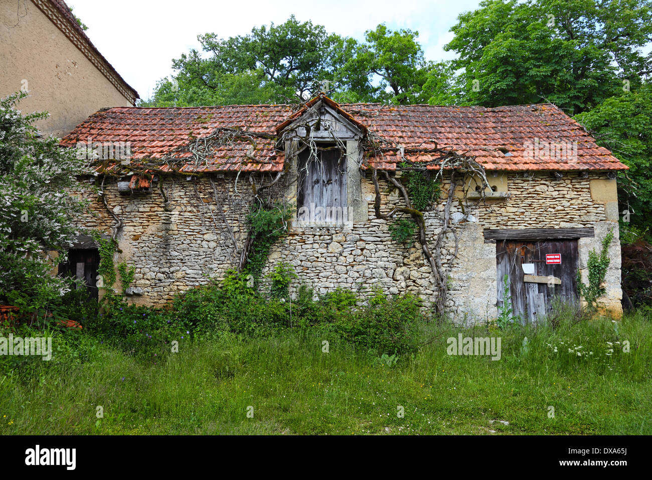 Alte Scheune in einer verlassenen Französisch Gehöft Vézère-Tal Dordogne Frankreich EU Stockfoto