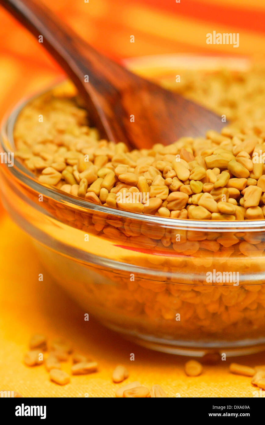 Bockshornklee Stockfoto