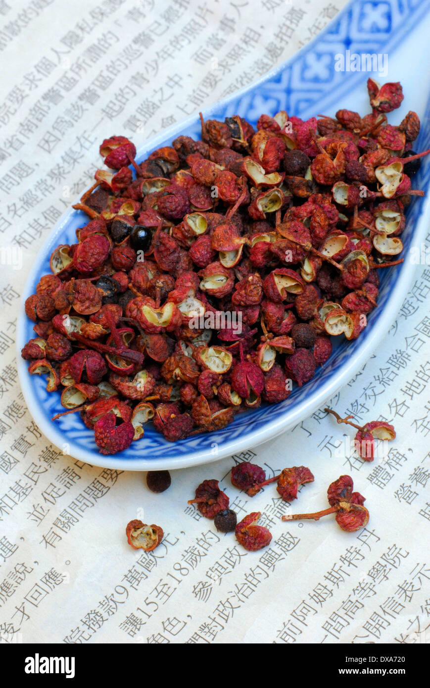 Sichuan-Pfeffer Stockfoto