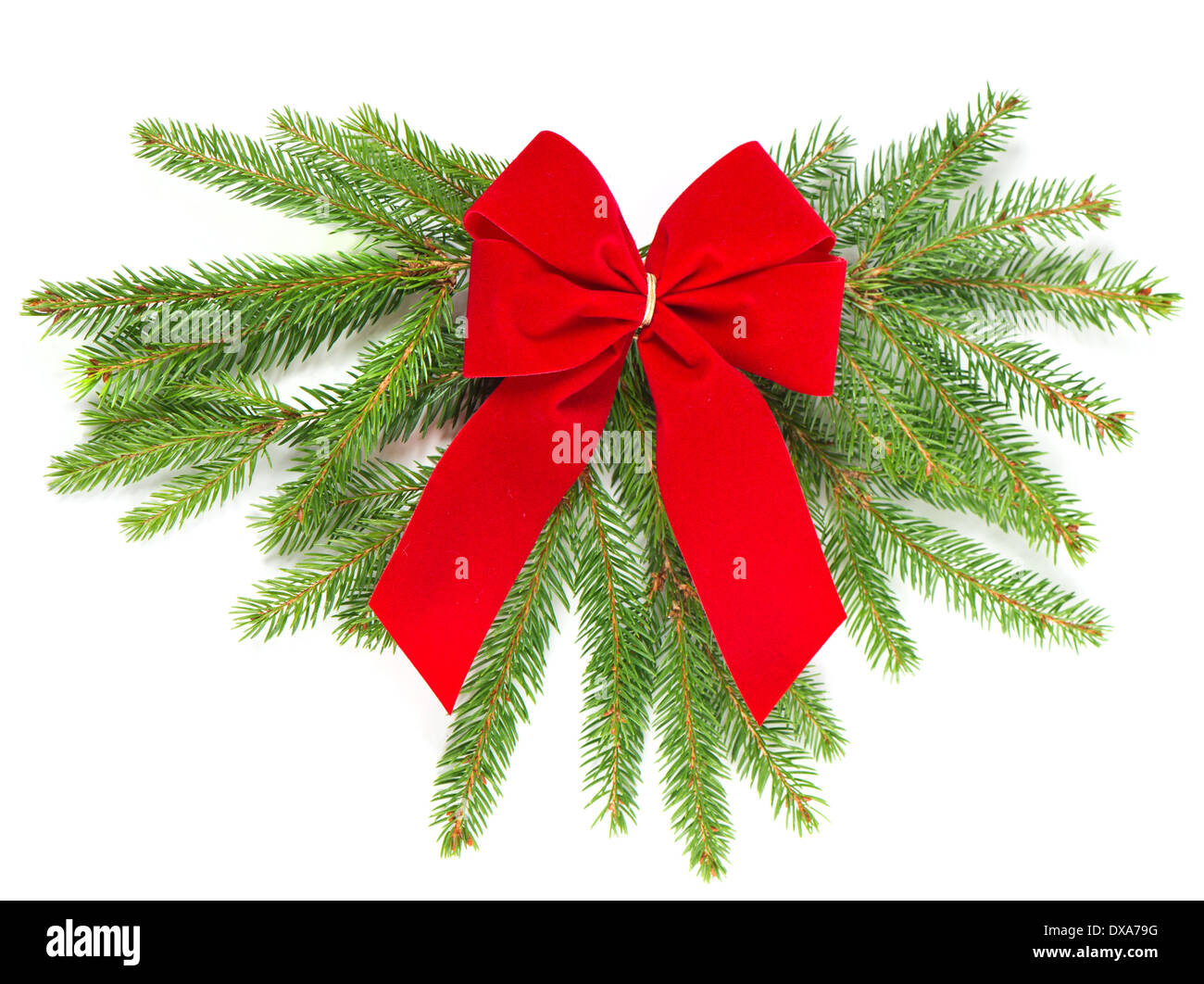Weihnachtsbaum Zweig mit roten Band. Weihnachts-Dekoration Stockfoto