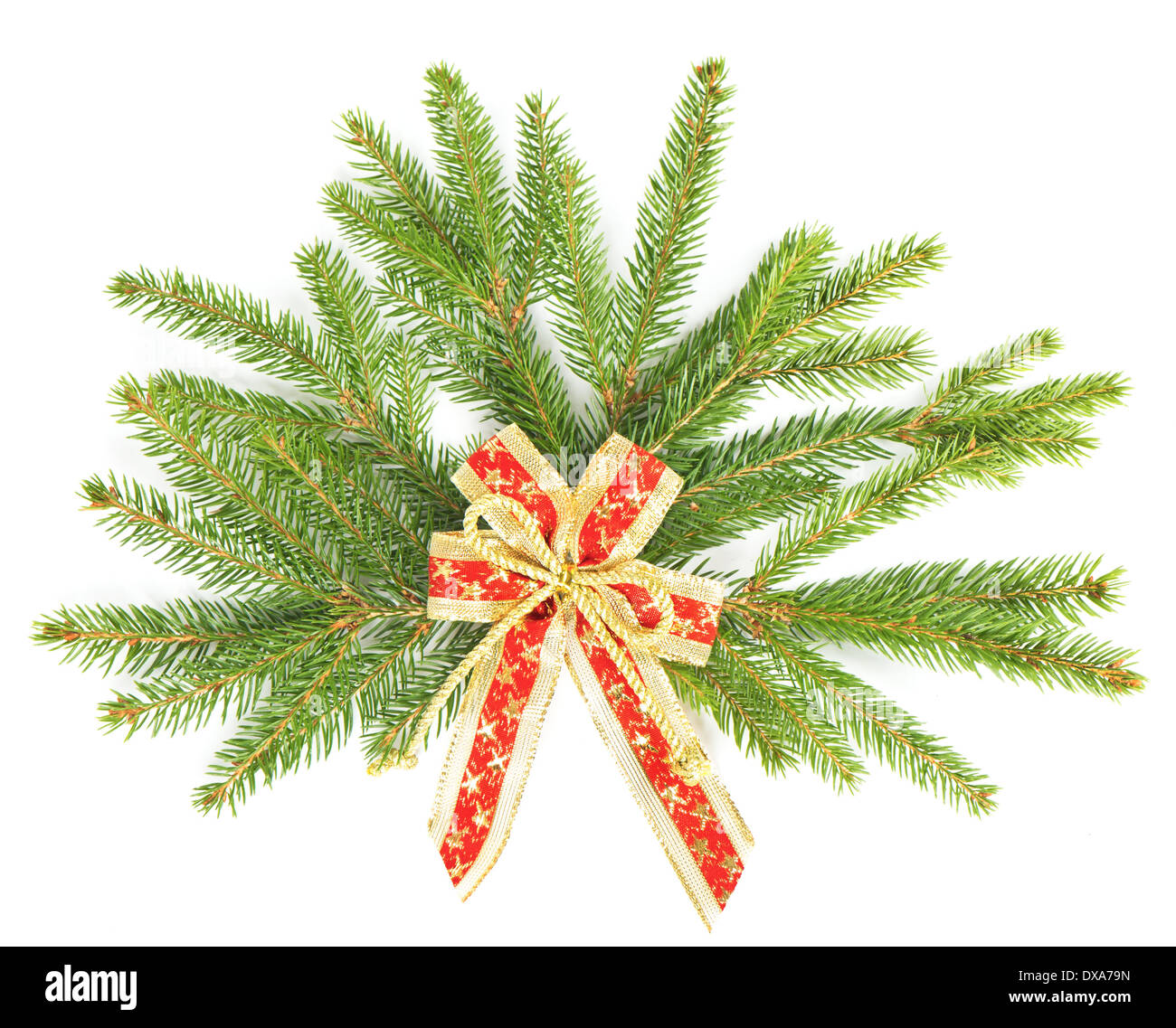 Zweig der Weihnachtsbaum mit roten Band. Weihnachten und Silvester Dekoration Stockfoto