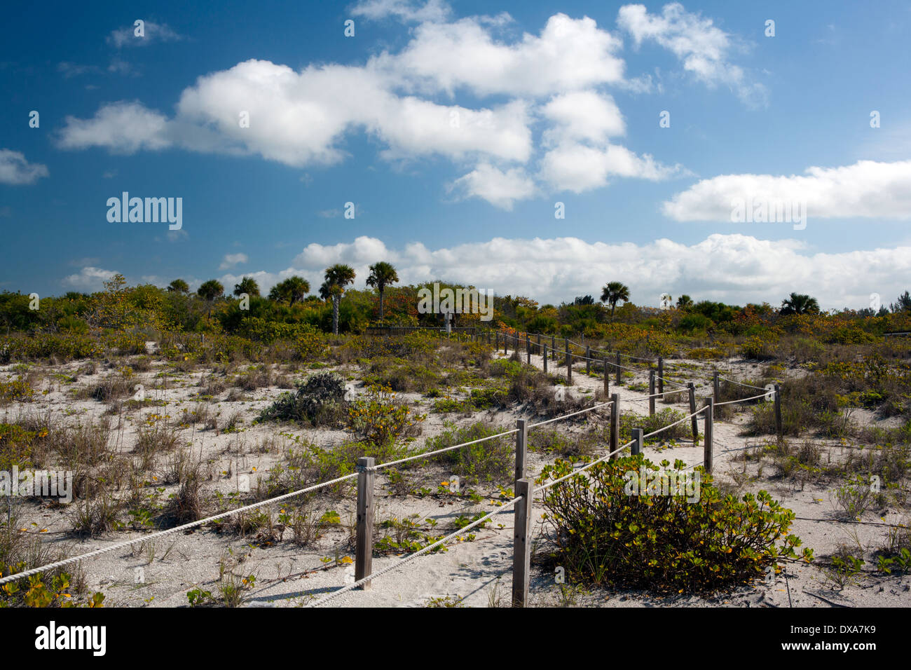 Weg zu Bowmans Beach - Sanibel Island, Florida USA Stockfoto