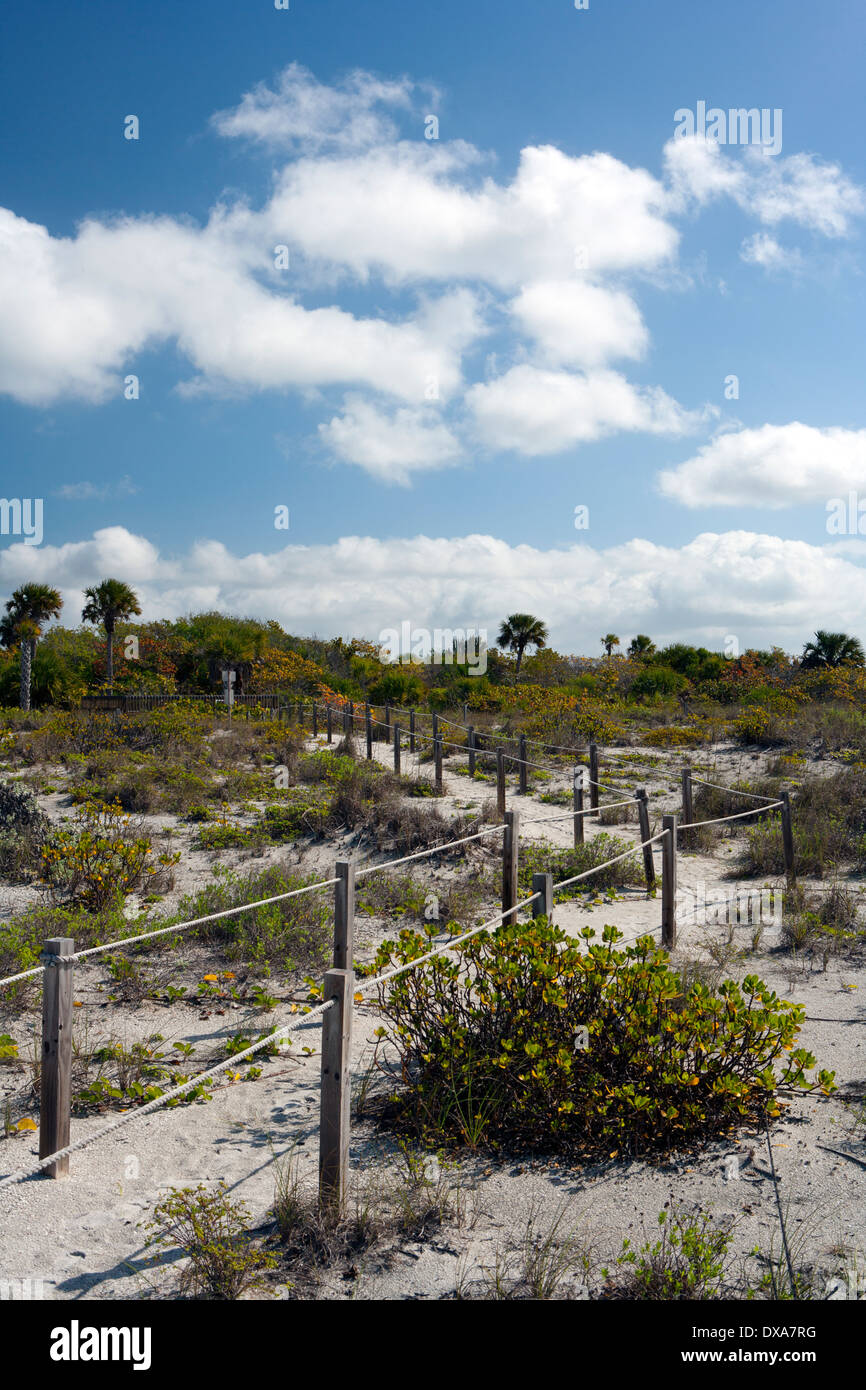 Weg zu Bowmans Beach - Sanibel Island, Florida USA Stockfoto