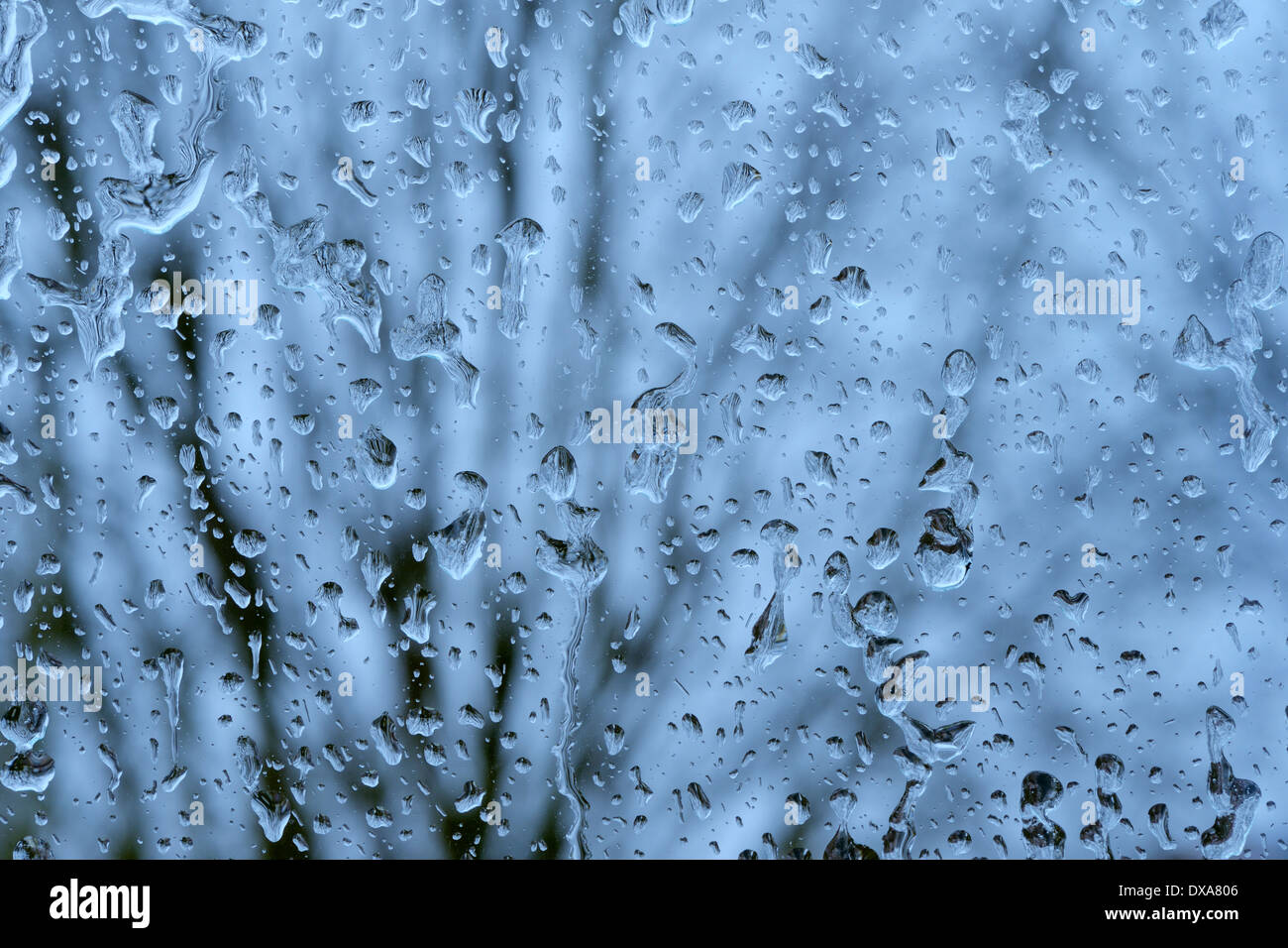 Baum im Hintergrund aus Eis am Fenster. Stockfoto