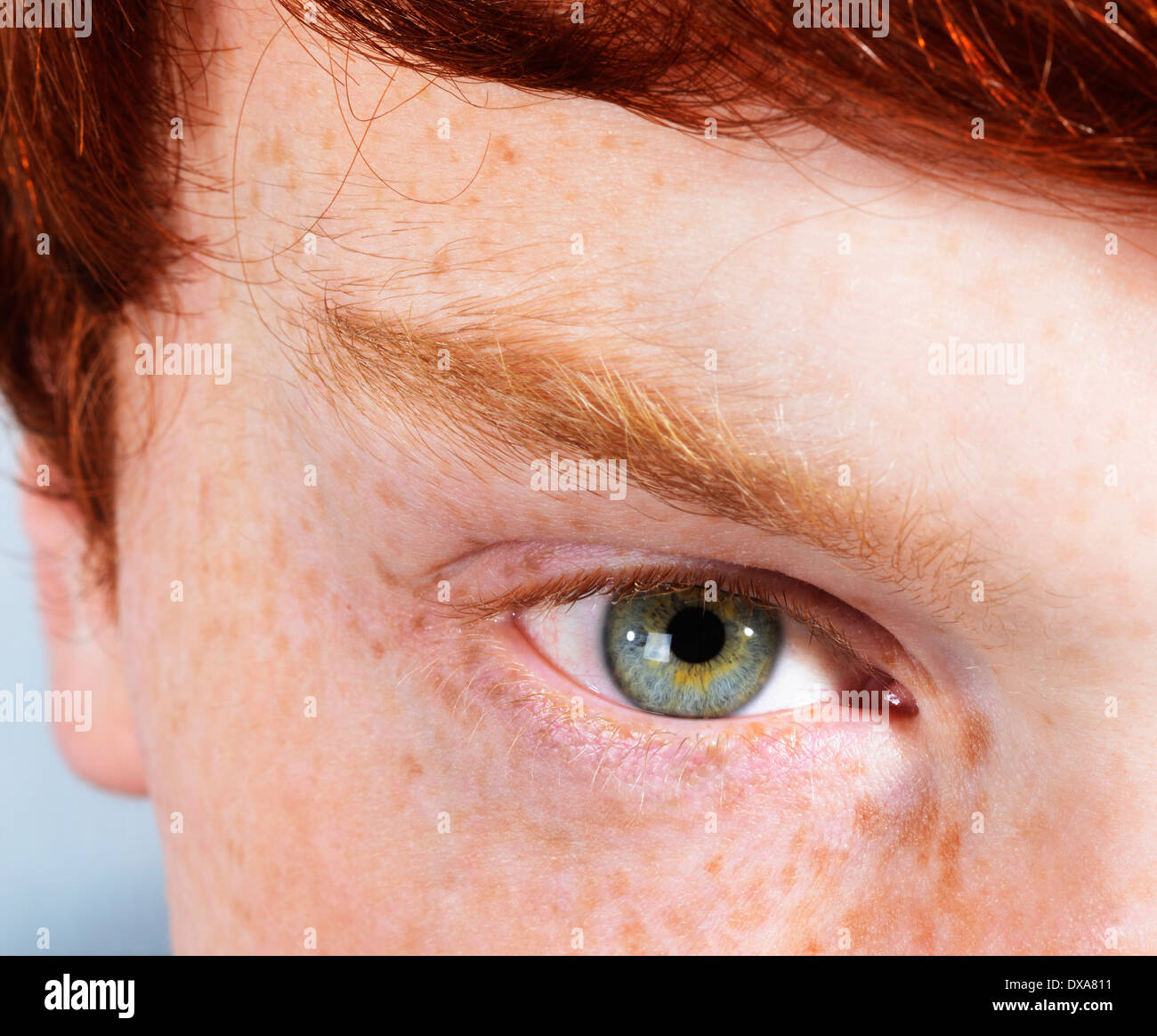 Auge des jungen Mannes mit Sommersprossen, rote Haare und grüne Augen Stockfoto