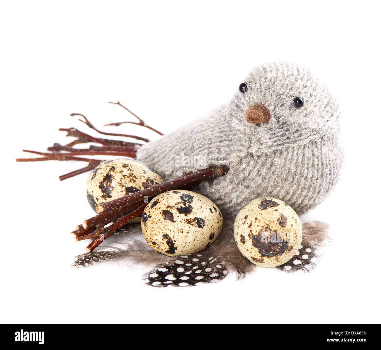 Vogel mit Eiern und Federn auf weißem Hintergrund Stockfoto