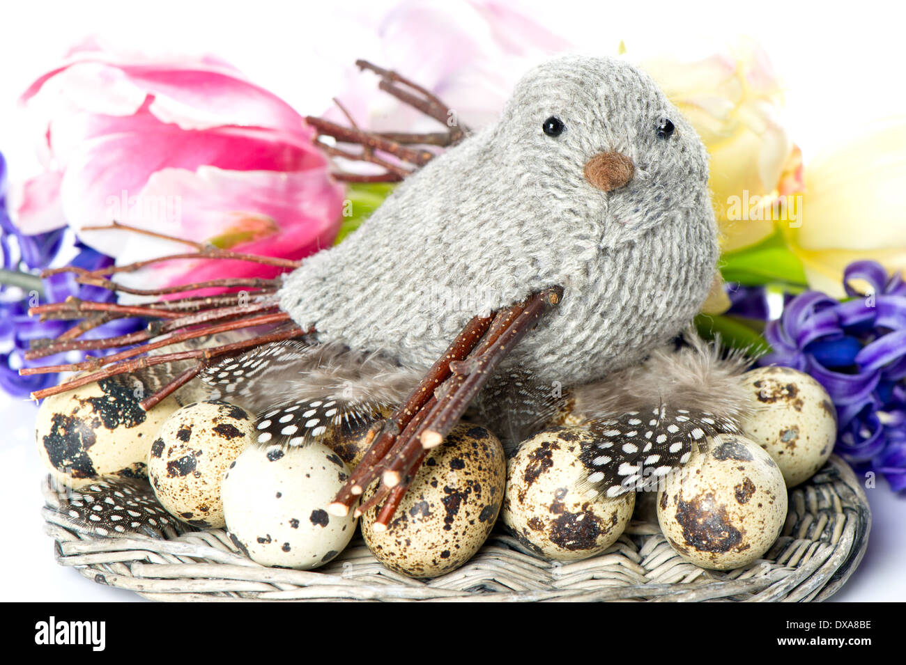 Vogel mit Eiern und Federn. Oster-Deko mit Frühlingsblumen Stockfoto