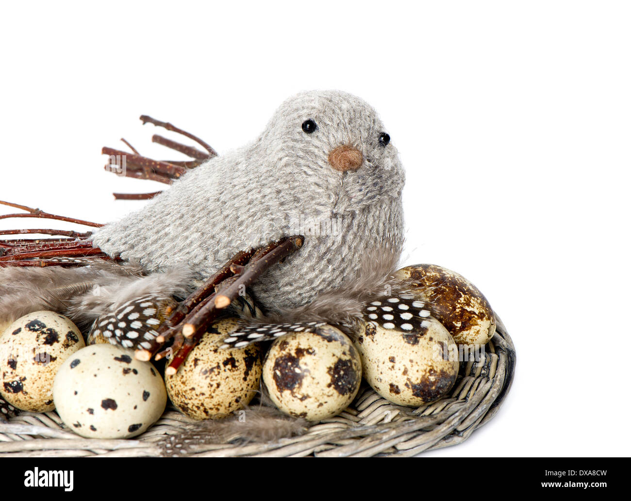 Vogel mit Eiern und Federn. Oster-Deko Stockfoto
