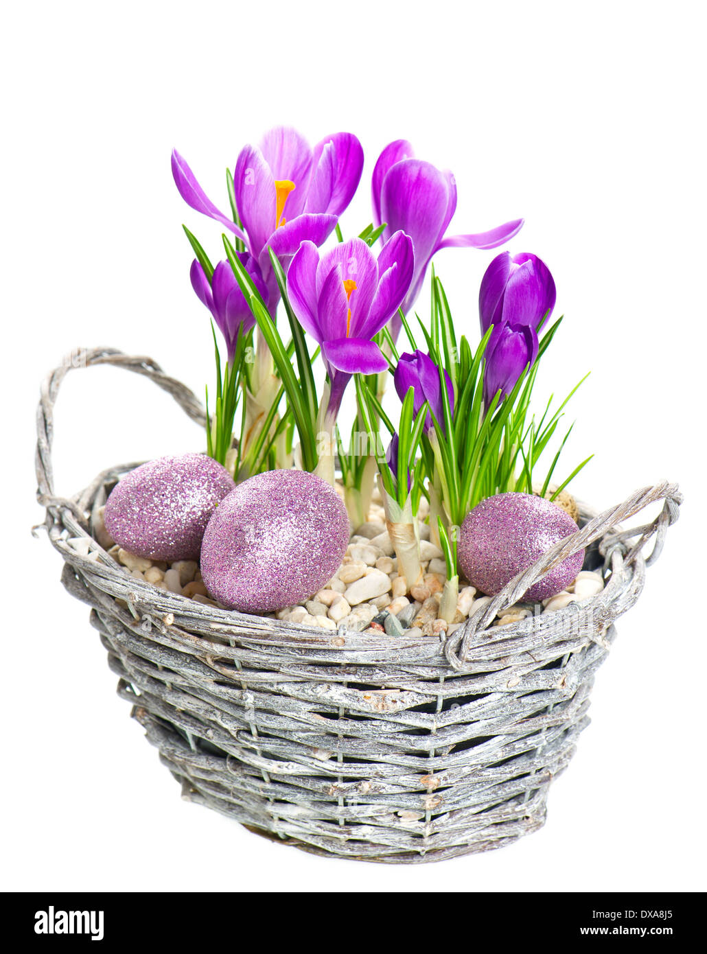 BEAUTIFIL Frühling Krokus Blumen im Korb mit Eiern Osterdekoration Stockfoto