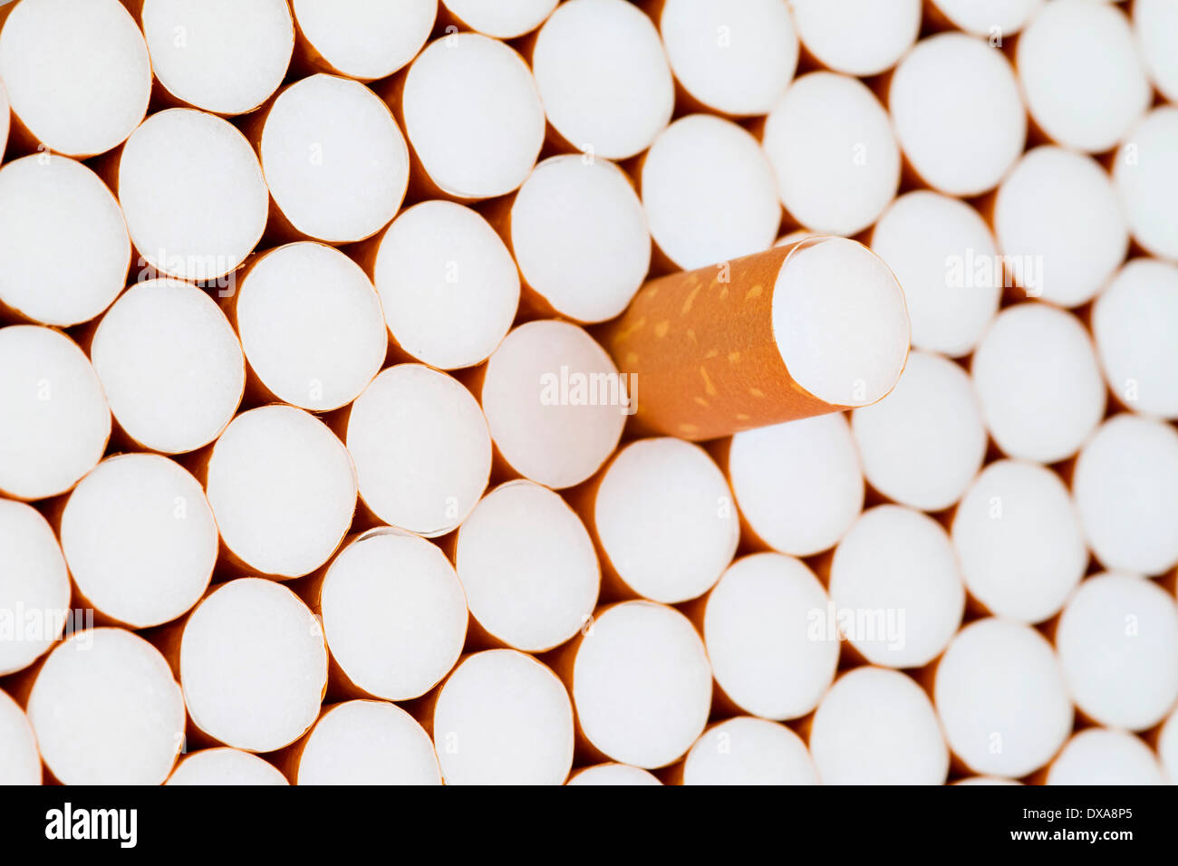 Detail des Haufens von Filterzigaretten Stockfoto