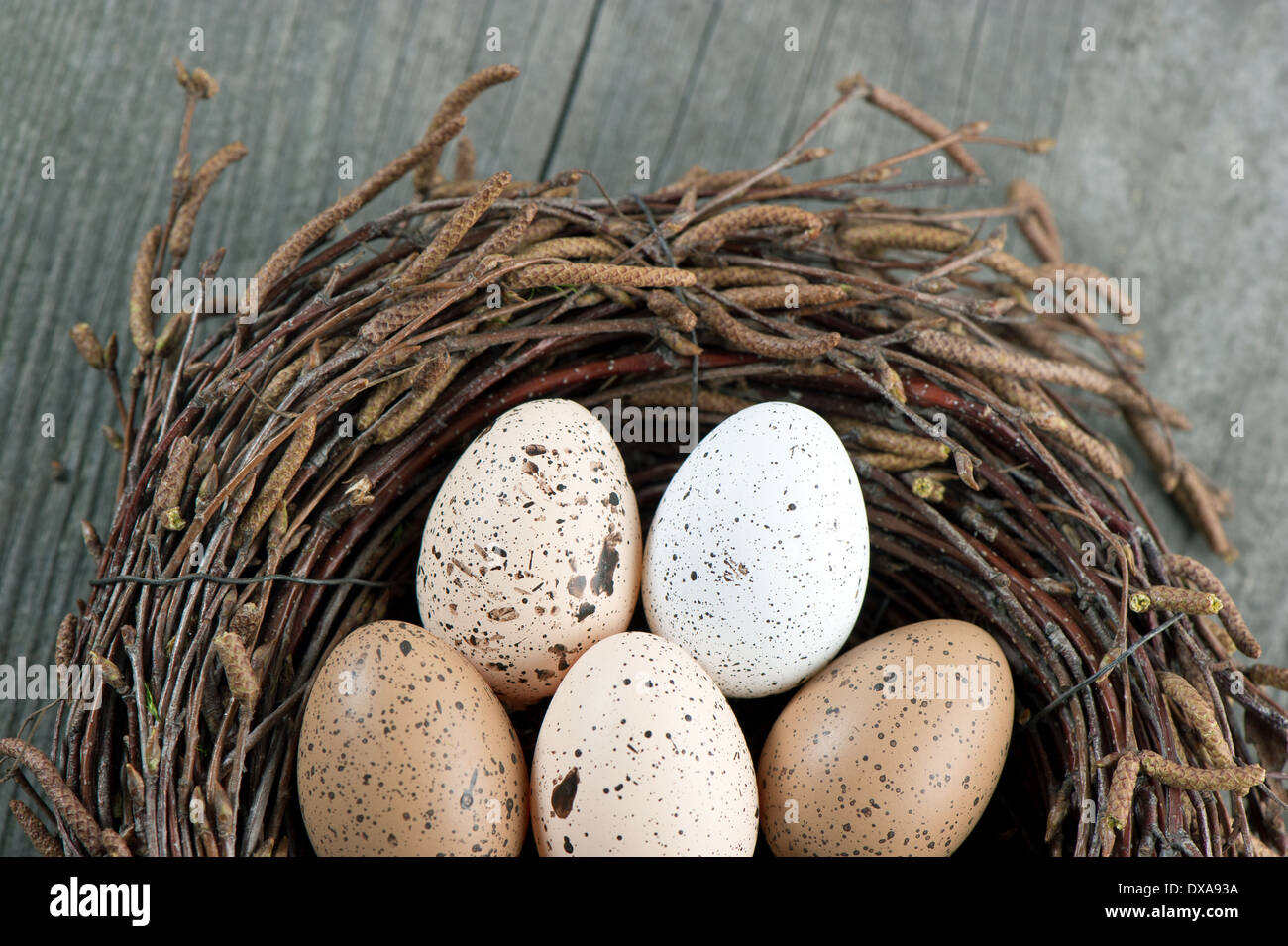 dekorative Vogeleier im Nest auf Vintage Holz-Hintergrund. Ostern-Konzept Stockfoto