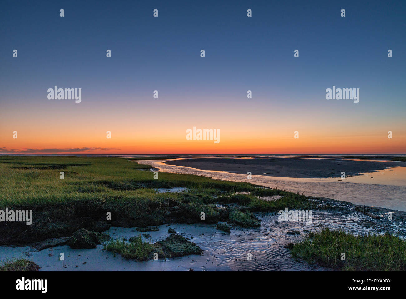 Salz-Sumpf Gezeitenbecken bei Ebbe, Boot Wiese Strand, Eastham, Cape Cod, Massachusetts, USA Stockfoto