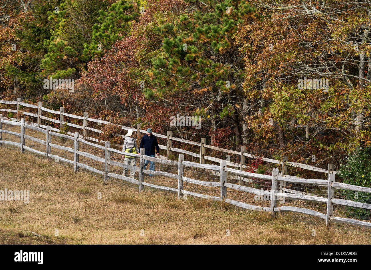 Älteres Paar zu Fuß auf einem Land Weg, Martha's Vineyard, Massachusetts, USA Stockfoto