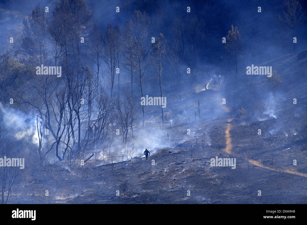 Waldbrand in Montpellier, La Paillade, Languedoc Roussillon, Frankreich Stockfoto