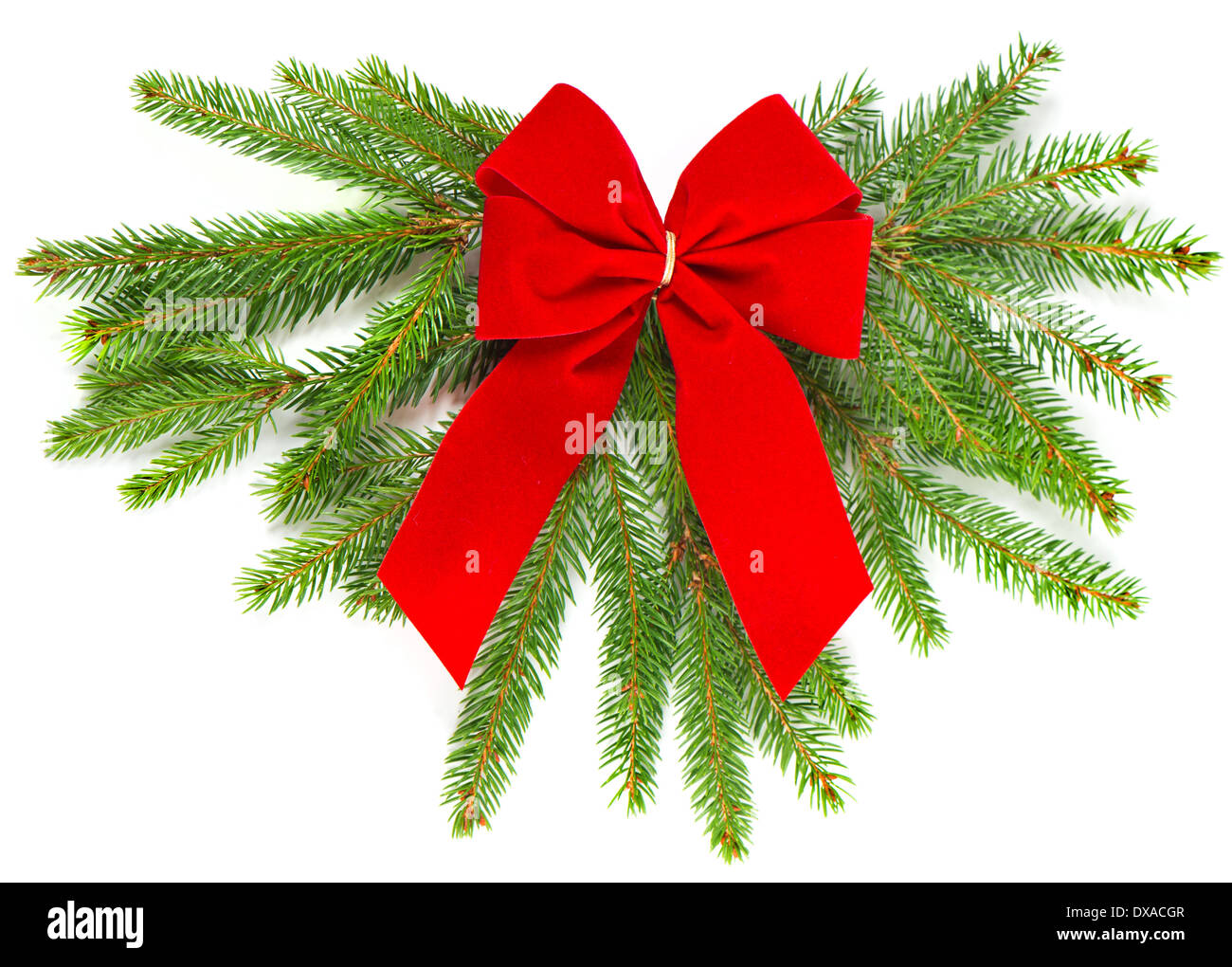 Weihnachtsbaum Zweig mit rotem Band Stockfoto