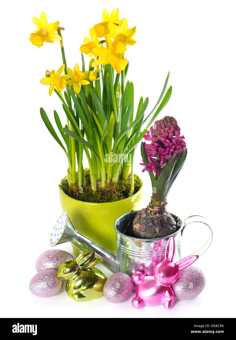 Frühling Blumen Narzissen Hyazinthe mit Ostereiern und Hase Dekoration Stockfoto
