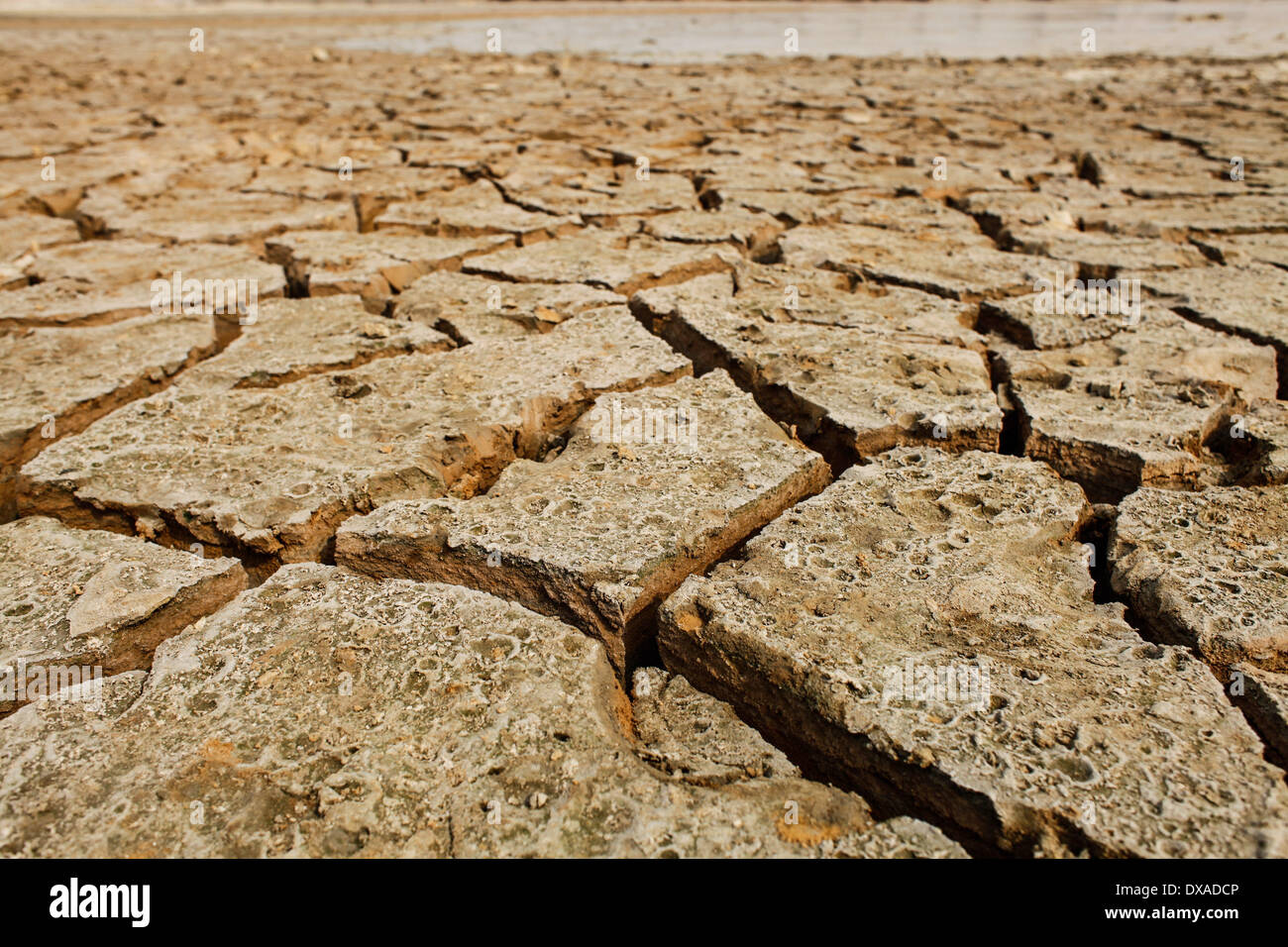 21. März 2014 - Dhaka, Bangladesch - 22. März ist zu beobachten wie World Water Day, die internationale Beachtung der World Water Day ist eine Initiative, die aus der 1992 UNO-Konferenz über Umwelt und Entwicklung (UNCED) in Rio De Janeiro wuchs. Diese Yearâ€™ s Thema ist â €œidentifying best Practices der ein Wasser - und Energie-effiziente â €˜Green Industrya€™ eine Realität "(Credit-Bild: © Zakir Hossain Chowdhury/NurPhoto/ZUMAPRESS.com) Stockfoto