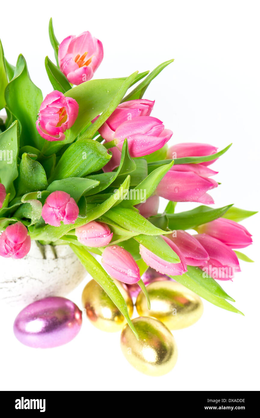 frische rosa Frühling Tulpen mit goldenen Ostereier auf weißem Hintergrund Stockfoto