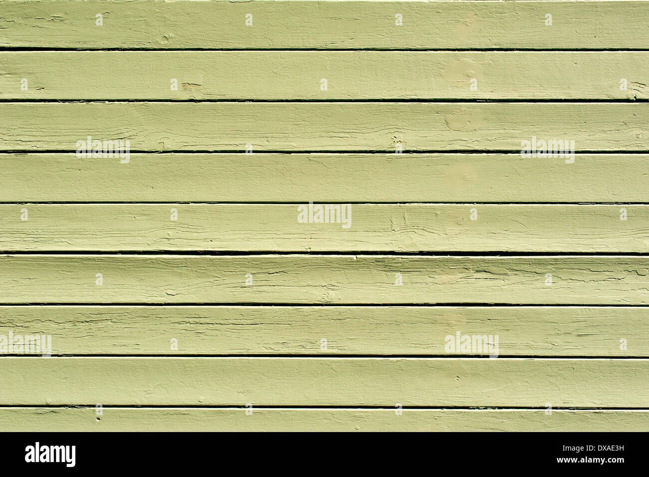 Abstrakt grün gefärbt aus Holz Textur des Garagentor Stockfoto
