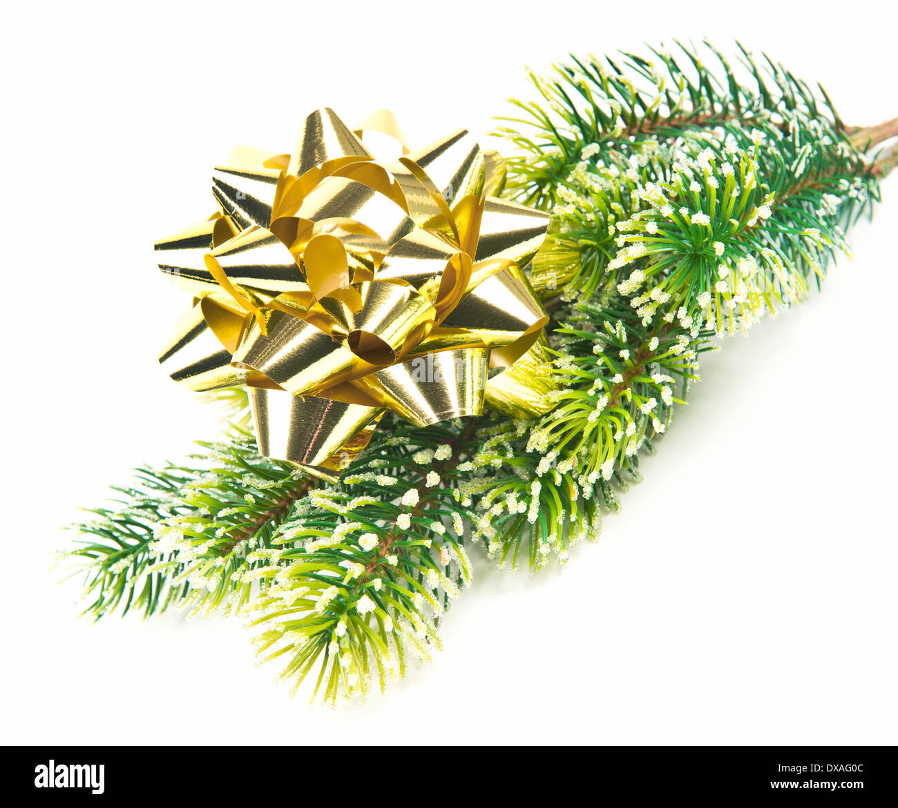 immergrüner Baum mit goldenen Band. Weihnachten und Silvester Dekoration Stockfoto