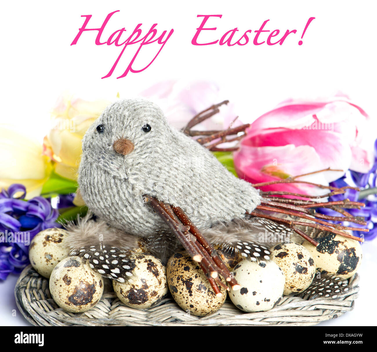 Frohe Ostern! Kartendesign. Oster-Deko mit Frühlingsblumen. Vogel mit Eiern und Federn Stockfoto