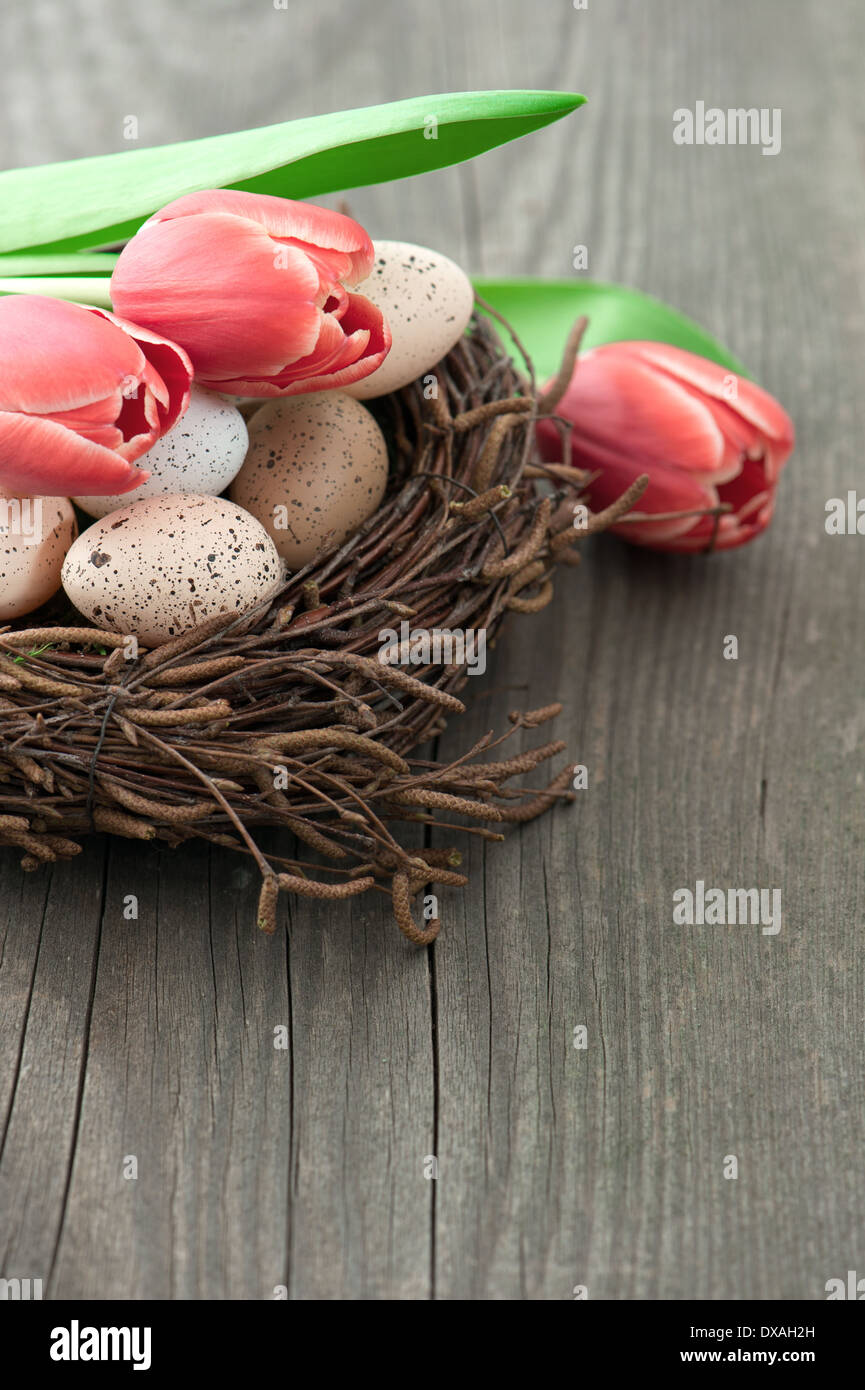 Rosa Tulpe Blumen mit Vogeleier im Nest auf Vintage Holz-Hintergrund Stockfoto
