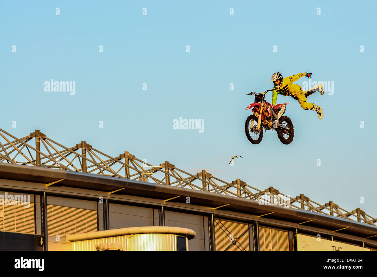 Dirt Bike fliegen durch die Luft über einen Vogel Stockfoto