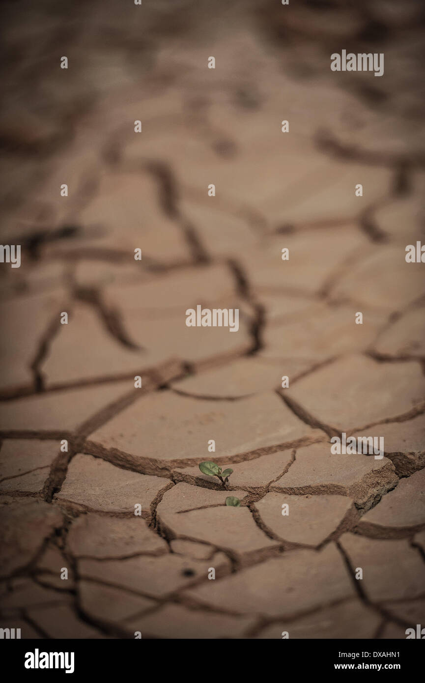 Dhaka, Bangladesch. 21. März 2014. 22. März beobachtet wie World Water Day, die internationale Beachtung der World Water Day ist eine Initiative, die aus der 1992 UNO-Konferenz über Umwelt und Entwicklung (UNCED) in Rio De Janeiro wuchs. Das diesjährige Thema ist "Ermittlung der besten Praktiken, die ein Wasser - und Energie-effiziente machen können '' ˜Green Industrie ' Wirklichkeit ' Credit: Zakir Hossain Chowdhury/NurPhoto/ZUMAPRESS.com/Alamy Live News Stockfoto