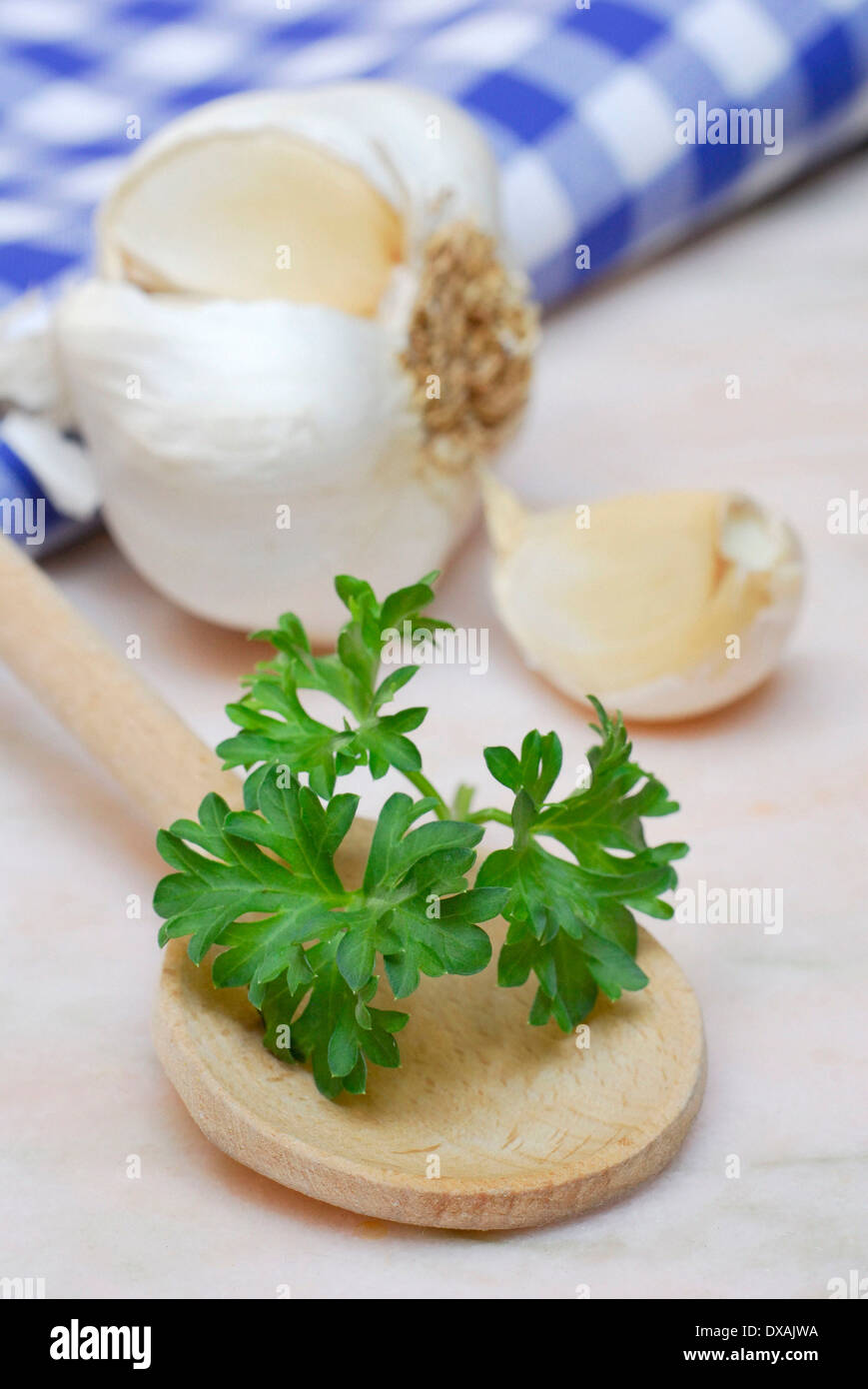 Knoblauch und Petersilie Stockfoto