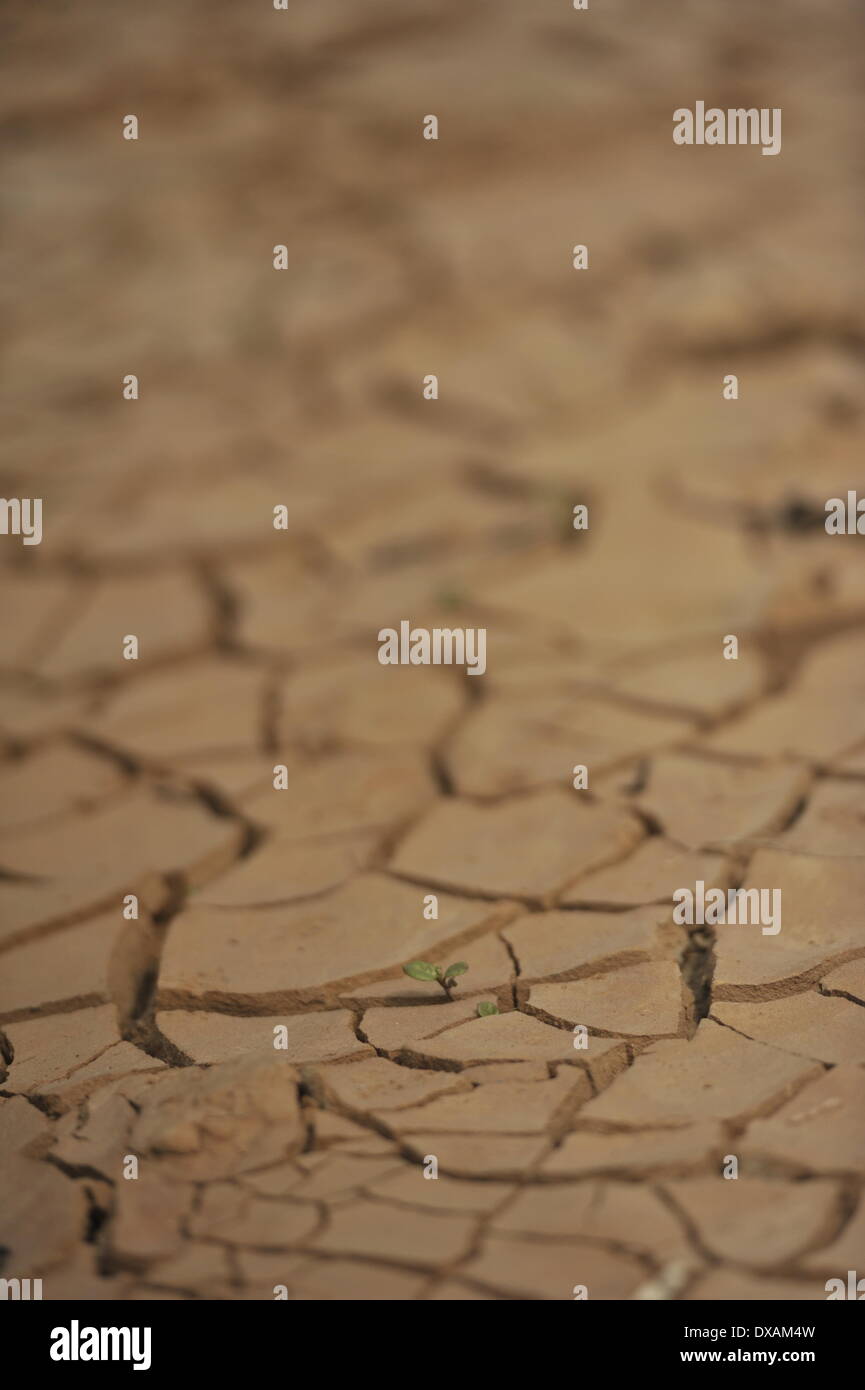 DHAKA, Bangladesch - 21 März: Hitze des kommenden Sommer die zerschmetterten Seeoberfläche ein Ergebnis von der sengenden Hitze. 22. März beobachtet wie World Water Day, die internationale Beachtung der World Water Day ist eine Initiative, die aus der 1992 UNO-Konferenz über Umwelt und Entwicklung (UNCED) in Rio De Janeiro wuchs. Das diesjährige Thema ist "identifizieren best Practices, die ein Wasser - und energieeffiziente"Grüne Branche"verwirklichen können." (Foto von Zakir Hossain Chowdhury / Pacific Press) Stockfoto
