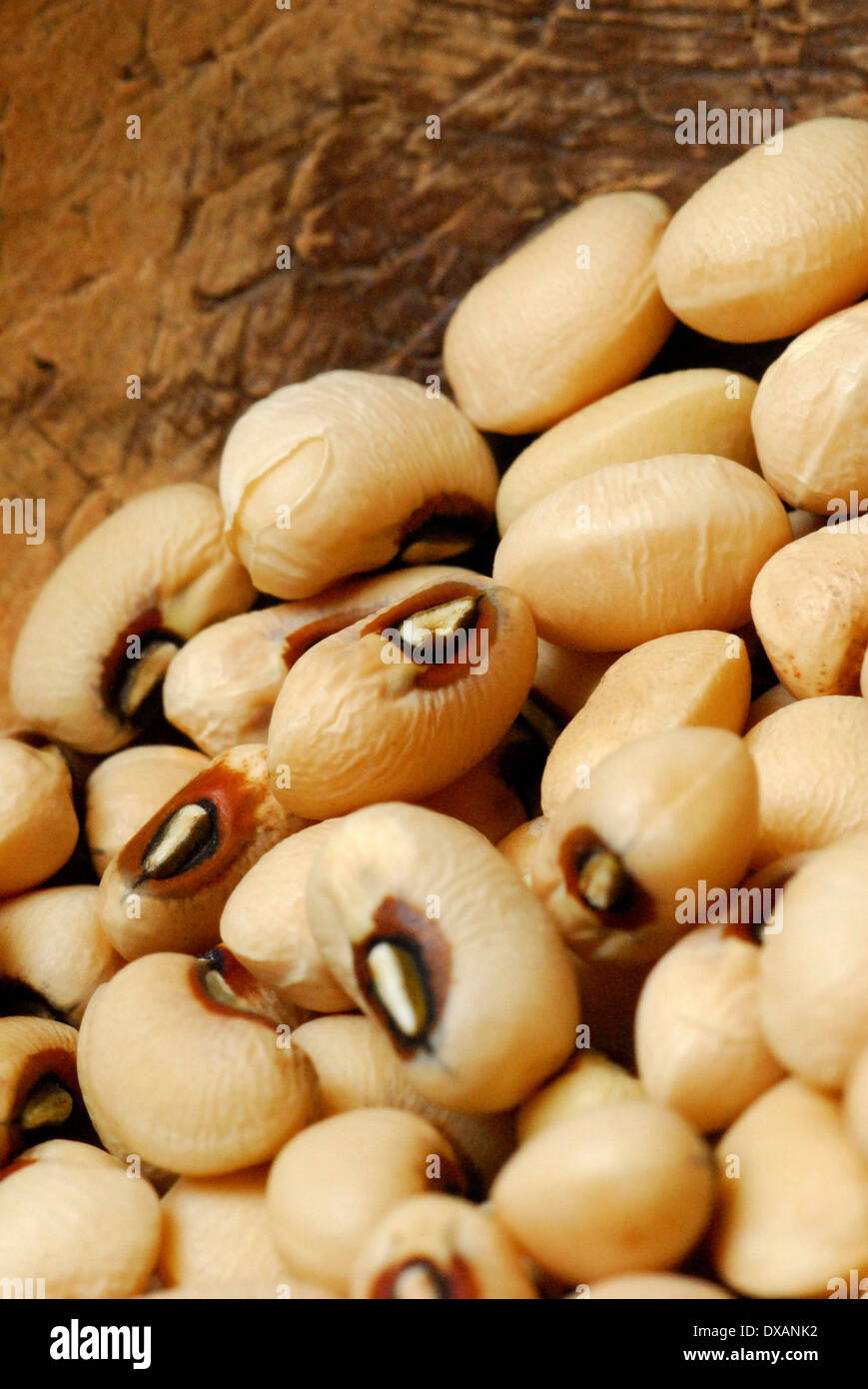 Black-Eyed Peas Stockfoto Black-Eyed Peas Stockfoto