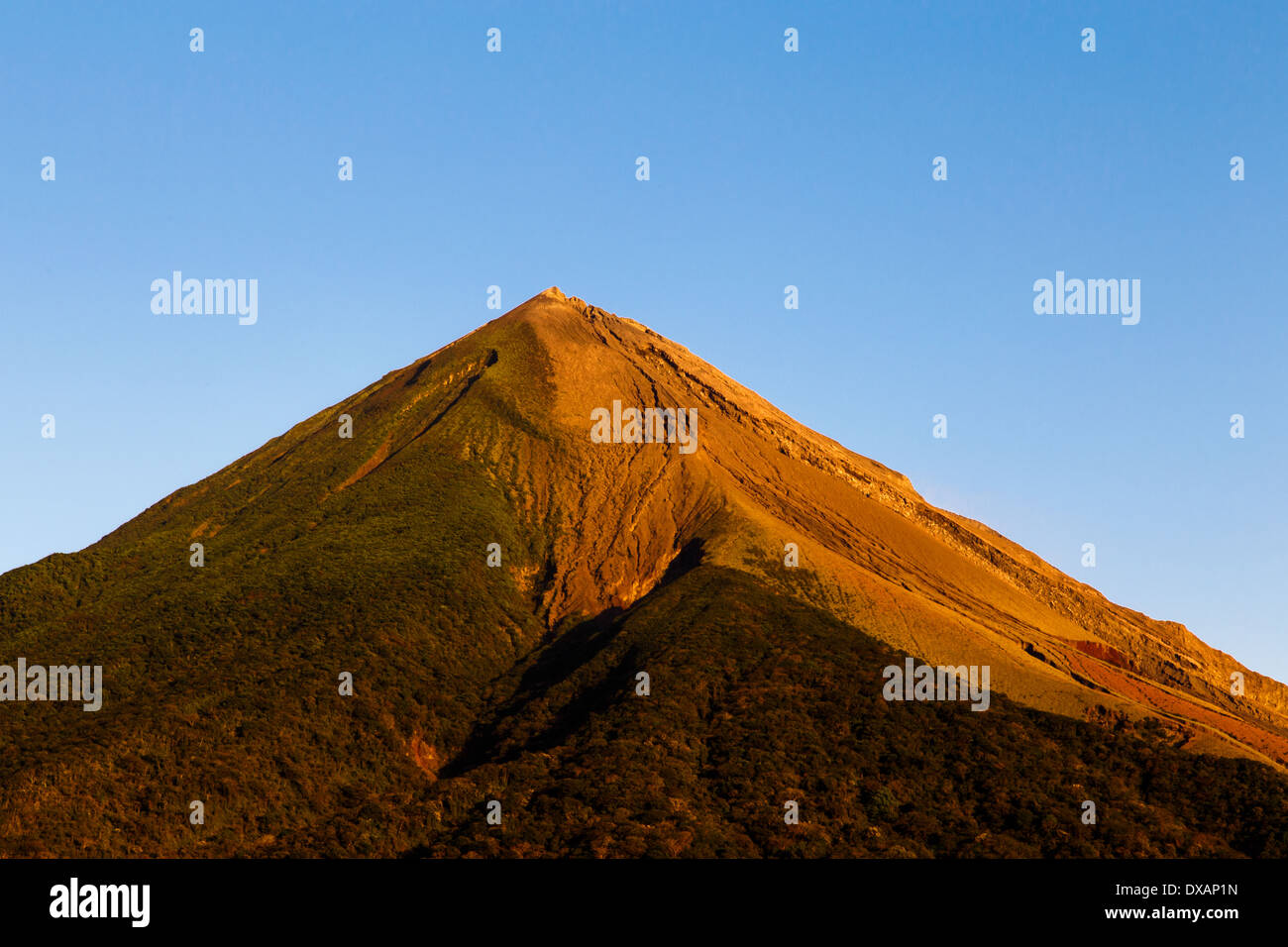 Vulkan in ometepe Stockfoto