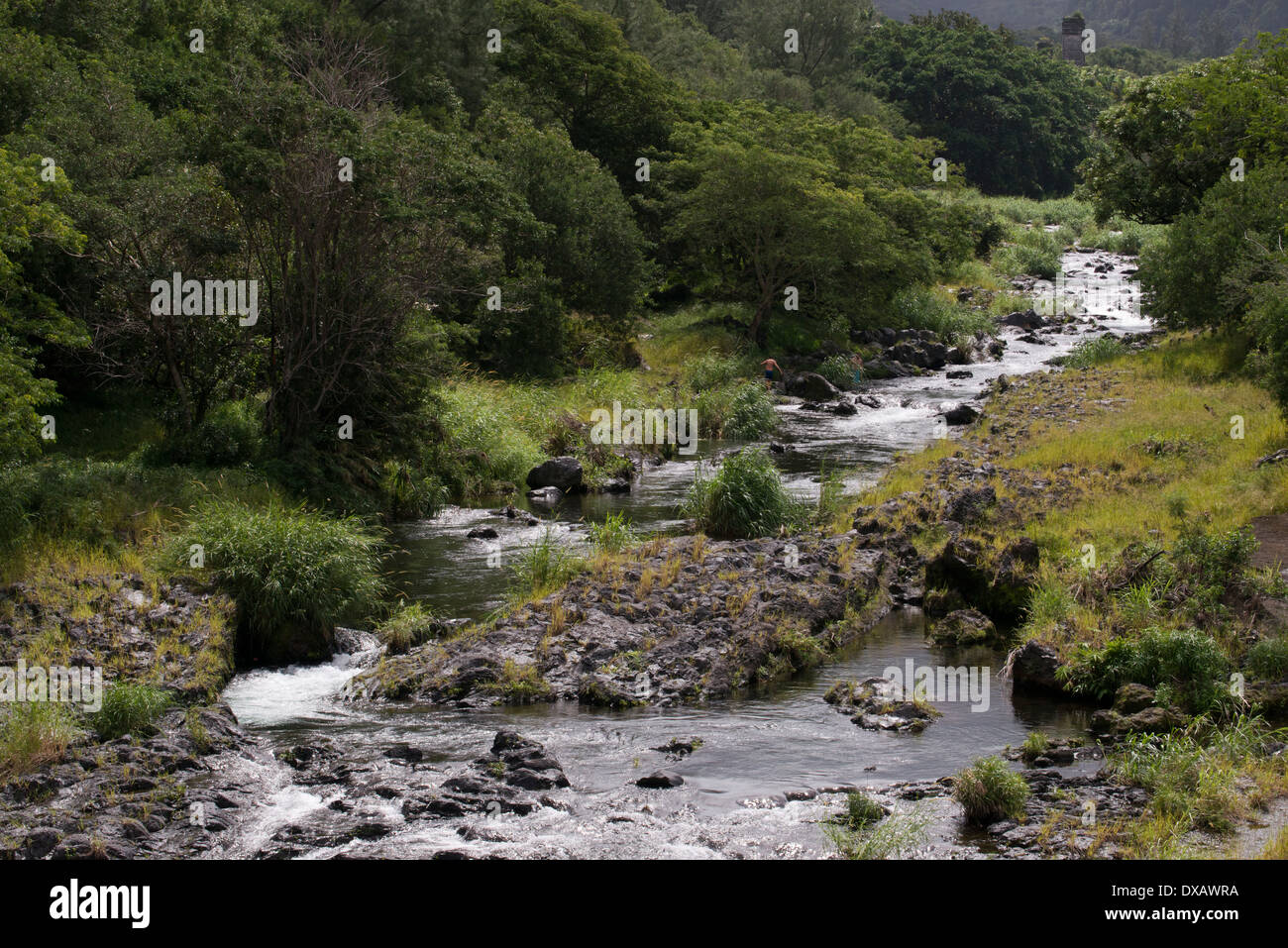 Grand Galet River. Die Kaskade von Grand Galet oder Langevin Wasserfall ist ein Wasserfall auf der Insel La Réunion, einem französischen Übersee Stockfoto