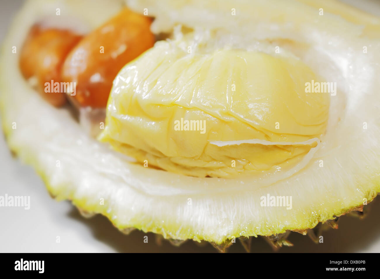 Durian Frucht mit Samen Stockfoto