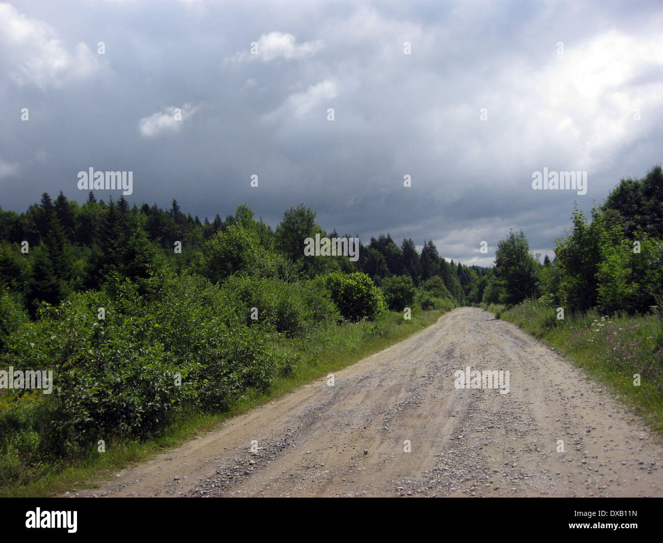 Straße, Wald, Busch, Sommer, lange, Weg, Gewitter, Donner, bewölkt, Wolke, Himmel, Autobahn, motor Autobahn, motor Weg, Saison Stockfoto