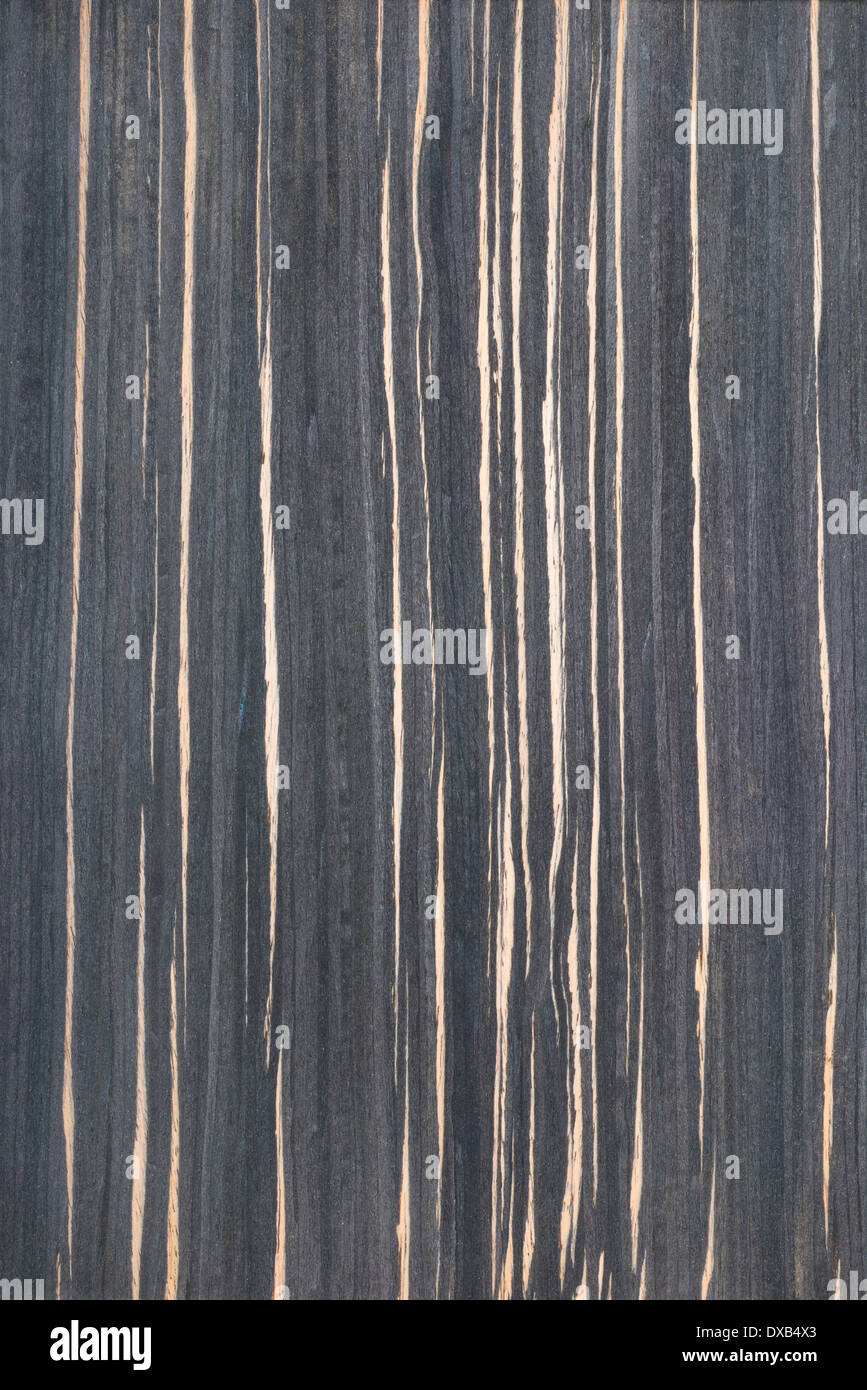 Ebenholz Holzstruktur, Baum-Hintergrund Stockfoto